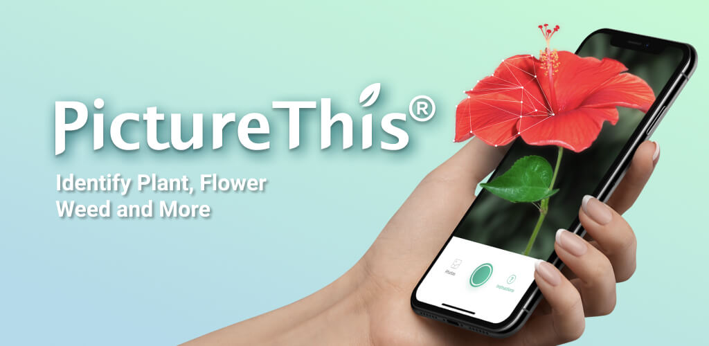 PictureThis – Plant Identifier