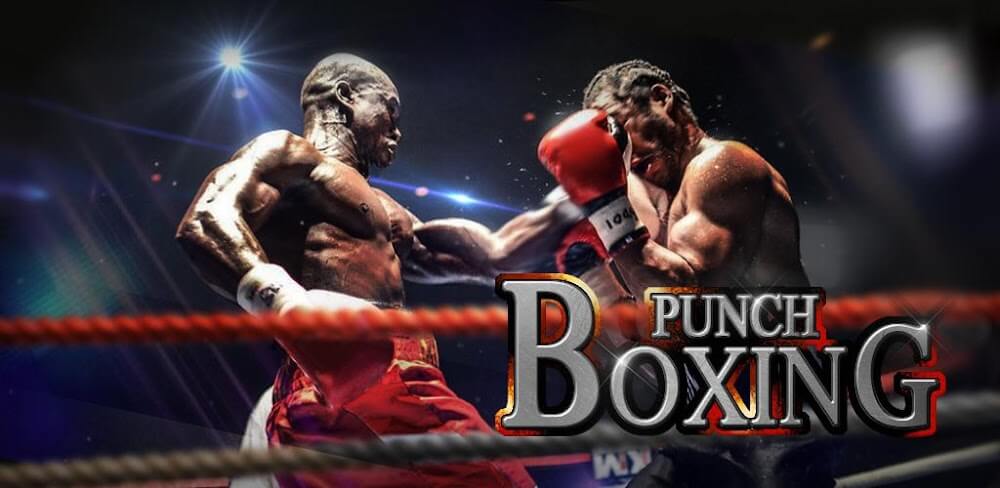 Punch Boxing 3D