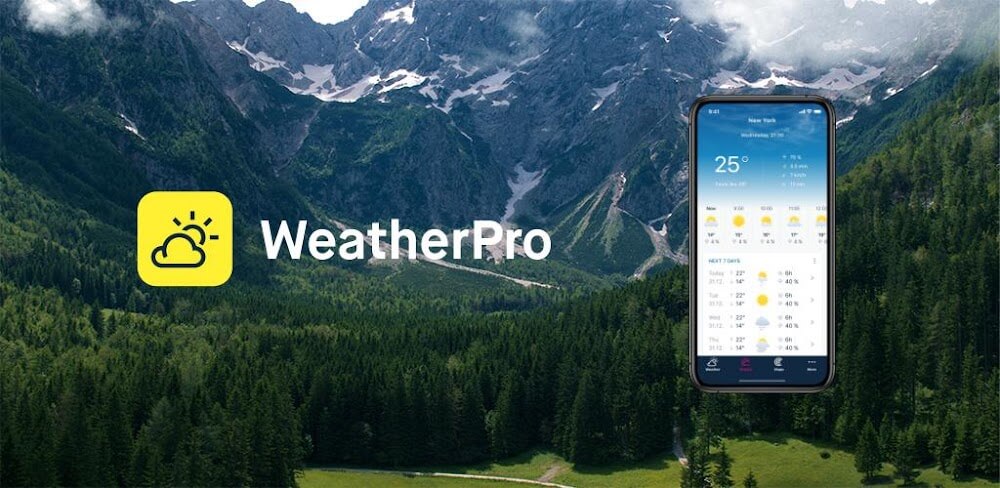 WeatherPro