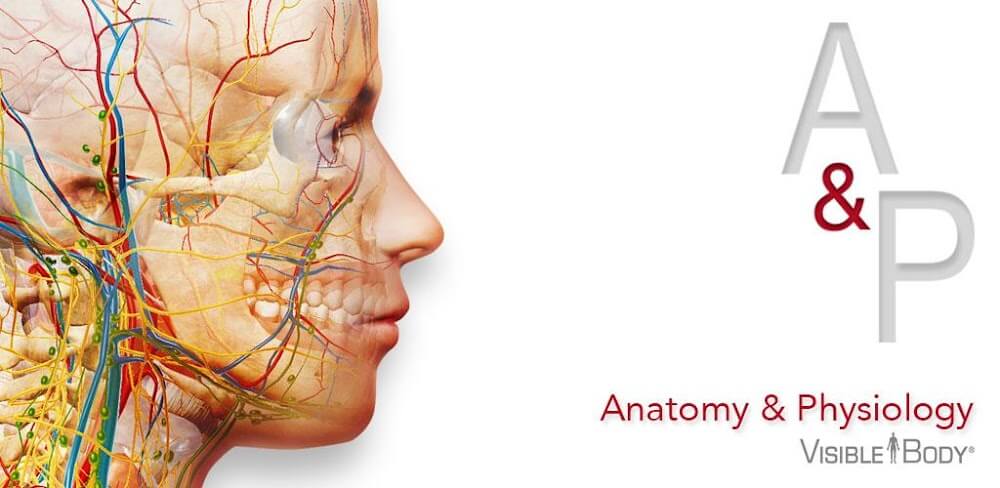 Anatomy &#038; Physiology