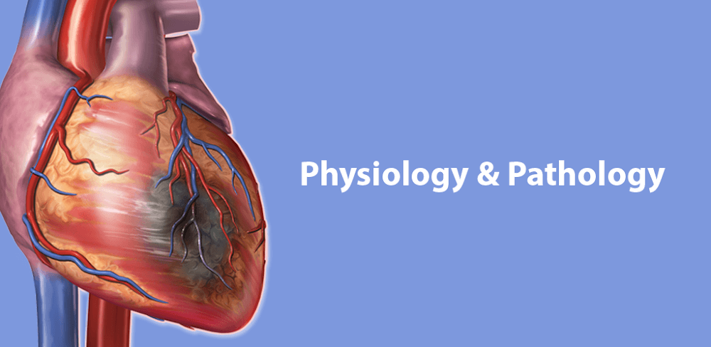 Physiology &#038; Pathology