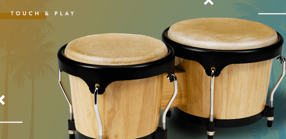 Congas &#038; Bongos