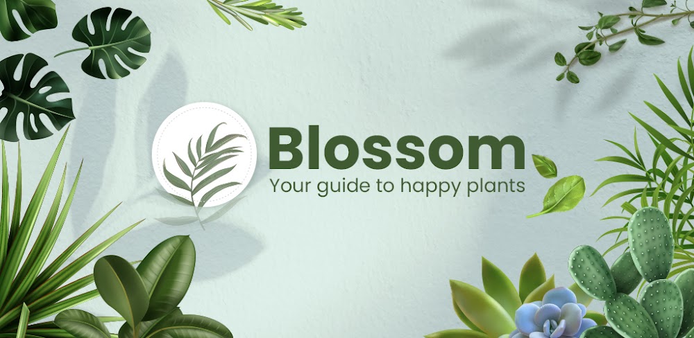 Blossom &#8211; Plant Identifier